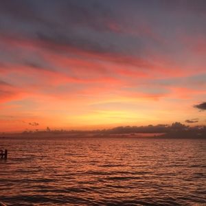 Meet your Posher, Eileen